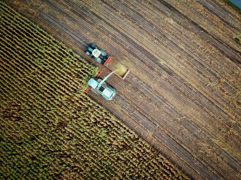 Comment l’intelligence artificielle transforme l’agriculture